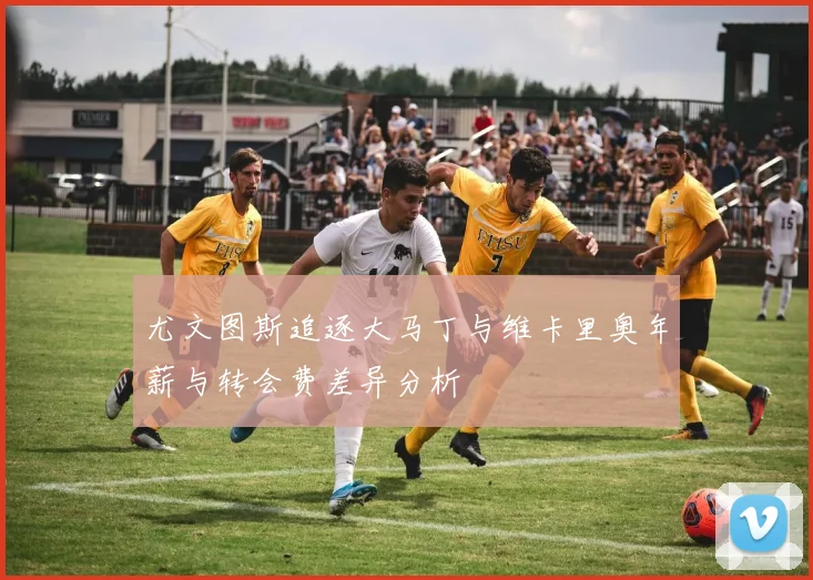 尤文图斯追逐大马丁与维卡里奥年薪与转会费差异分析