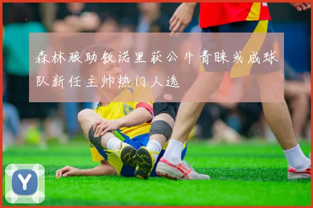 森林狼助教诺里获公牛青睐或成球队新任主帅热门人选
