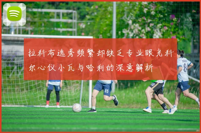 拉科布选秀频繁却缺乏专业眼光科尔心仪小瓦与哈利的深意解析