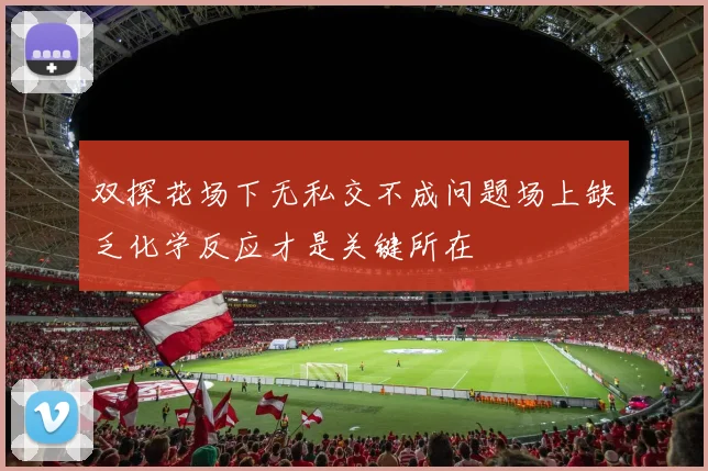双探花场下无私交不成问题场上缺乏化学反应才是关键所在