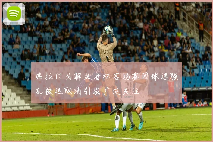 弗拉门戈解放者杯客场赛因球迷骚乱被迫取消引发广泛关注